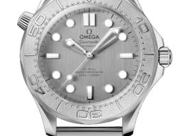 Omega Seamaster Diver 300 M 210.30.42.20.06.002 (2026) - Grijs wijzerplaat 42mm Staal