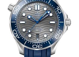 Omega Seamaster Diver 300 M 210.32.42.20.06.001 (2026) - Grijs wijzerplaat 42mm Staal