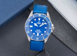 Tudor Pelagos 25600TB -