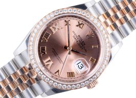 Rolex Datejust 36 126281RBR -