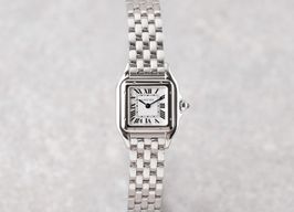 Cartier Santos WSSA0029 (2025) - Silver dial 35 mm Steel case