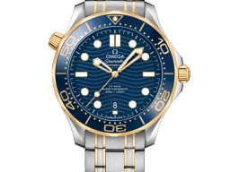 Omega Seamaster Diver 300 M 210.20.42.20.03.001 (2026) - 42mm Staal
