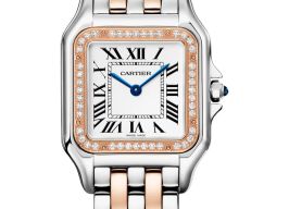 Cartier Panthère W3PN0015 (2026) - Silver dial 29 mm Gold/Steel case