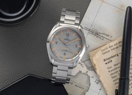 Omega Seamaster Railmaster 220.10.40.20.06.001 (2022) - Grijs wijzerplaat 40mm Staal