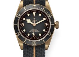 Tudor Black Bay Bronze 79250BA (2025) - Grey dial 43 mm Bronze case