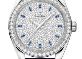 Omega Seamaster Aqua Terra 220.58.34.20.99.007 -