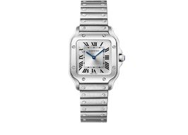 Cartier Santos WSSA0082 (2025) - Silver dial 27 mm Steel case