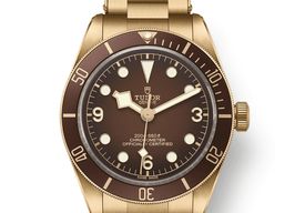 Tudor Black Bay Bronze 79012M -