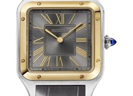 Cartier Santos Dumont W2SA0036 (2026) - Grey dial 44 mm Steel case