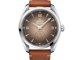 Omega Seamaster Railmaster 235.12.38.20.13.001 (2025) - Brown dial 38 mm Steel case
