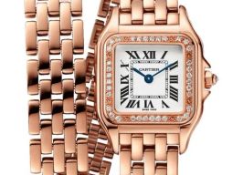 Cartier Panthère WJPN0069 (2026) - Silver dial 30 mm Rose Gold case