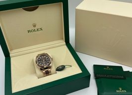 Rolex Sky-Dweller 326235 (2022) - Bruin wijzerplaat 42mm Roségoud