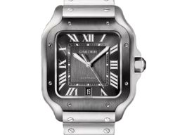 Cartier Santos WSSA0037 -
