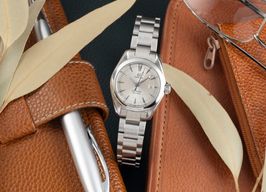 Omega Seamaster Aqua Terra 2577.30.00 (2010) - Silver dial 29 mm Steel case