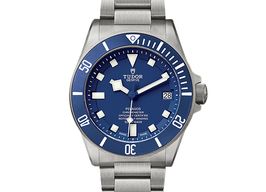 Tudor Pelagos 25600TB -