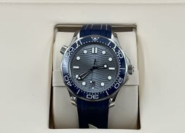 Omega Seamaster Diver 300 M 210.32.42.20.06.001 (2023) - Grey dial 42 mm Steel case