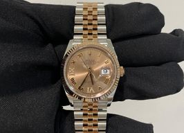 Rolex Datejust 36 126231 (2024) - Unknown dial 36 mm Gold/Steel case
