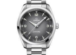 Omega Seamaster Railmaster 235.10.38.20.06.001 (2026) - 38mm Staal