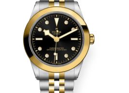 Tudor Black Bay S&G 79663 -