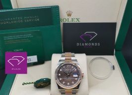 Rolex Datejust 36 126231 (2022) - Brown dial 36 mm Steel case
