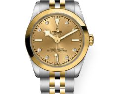 Tudor Black Bay S&G 79603 -