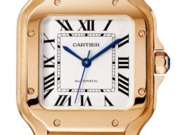Cartier Santos WGSA0031 -