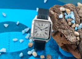 Cartier Santos Dumont WSSA0032 (Unknown (random serial)) - Silver dial 47 mm Steel case