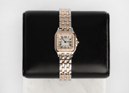 Cartier Panthère W3PN0014 (2025) - Silver dial 22 mm Gold/Steel case