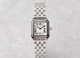 Cartier Santos WSSA0029 (2025) - Silver dial 35 mm Steel case