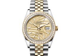 Rolex Datejust 36 126283RBR-0023 (2023) - Gold dial 36 mm Steel case