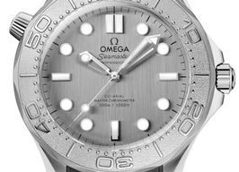 Omega Seamaster Diver 300 M 210.32.42.20.06.002 (2025) - Grey dial 42 mm Steel case