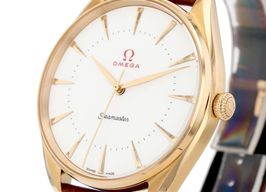 Omega Seamaster 522.53.40.20.04.001 -