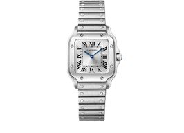 Cartier Santos WSSA0082 (Unknown (random serial)) - Silver dial 27 mm Steel case