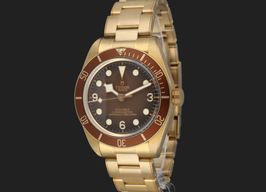 Tudor Black Bay Bronze 79012M (2022) - Brown dial 39 mm Bronze case