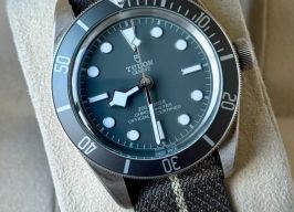 Tudor Black Bay Fifty-Eight 79010SG (2025) - Grijs wijzerplaat 39mm Zilver
