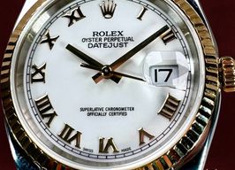 Rolex Datejust 36 116233 -
