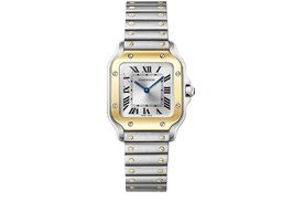 Cartier Santos Dumont W2SA0033 -