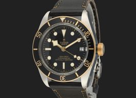 Tudor Black Bay S&G 79733N -