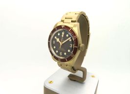 Tudor Black Bay Bronze 79012M (2023) - Brown dial 39 mm Bronze case