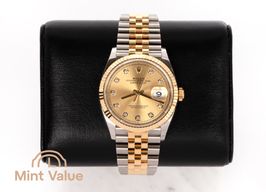 Rolex Datejust 36 126233 (2026) - Champagne wijzerplaat 36mm Goud/Staal