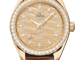 Omega Seamaster Aqua Terra 220.58.34.20.99.008 -