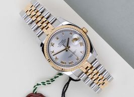 Rolex Datejust 36 116233 -