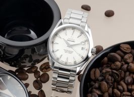 Omega Seamaster Aqua Terra 231.10.39.21.02.002 (Onbekend (willekeurig serienummer)) - Zilver wijzerplaat 39mm Staal