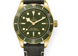 Tudor Black Bay Fifty-Eight 79018V (2025) - Brown dial 39 mm Yellow Gold case