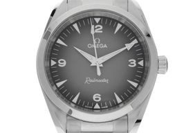 Omega Seamaster Railmaster 235.10.38.20.06.001 (2026) - Grey dial 38 mm Steel case