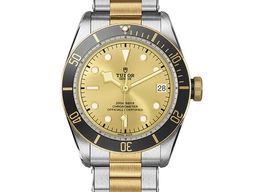 Tudor Black Bay S&G 79733N -