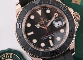 Rolex Yacht-Master 40 116655 (2017) - 40mm Roségoud