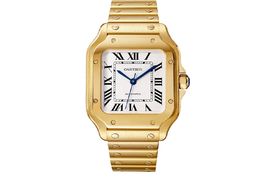 Cartier Santos WGSA0030 -