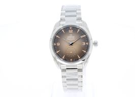 Omega Seamaster Railmaster 235.10.38.20.13.001 (2026) - 38mm Staal