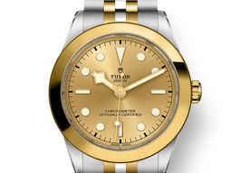 Tudor Black Bay S&G 79663 -